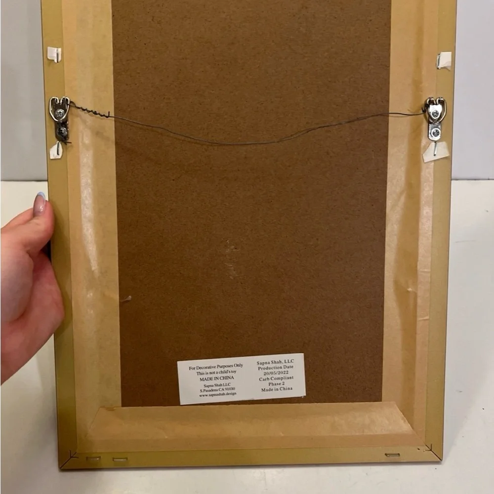 Polypodiopsida fig.18 picture frame decor